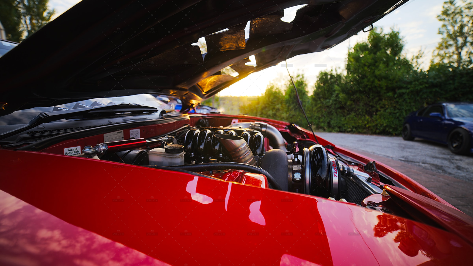 demo-attachment-1273-patrick-bWSiIlfFr-8-unsplash